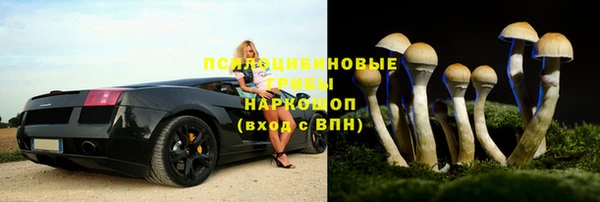 герыч Каменногорск
