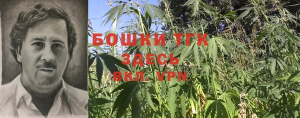 герыч Каменногорск